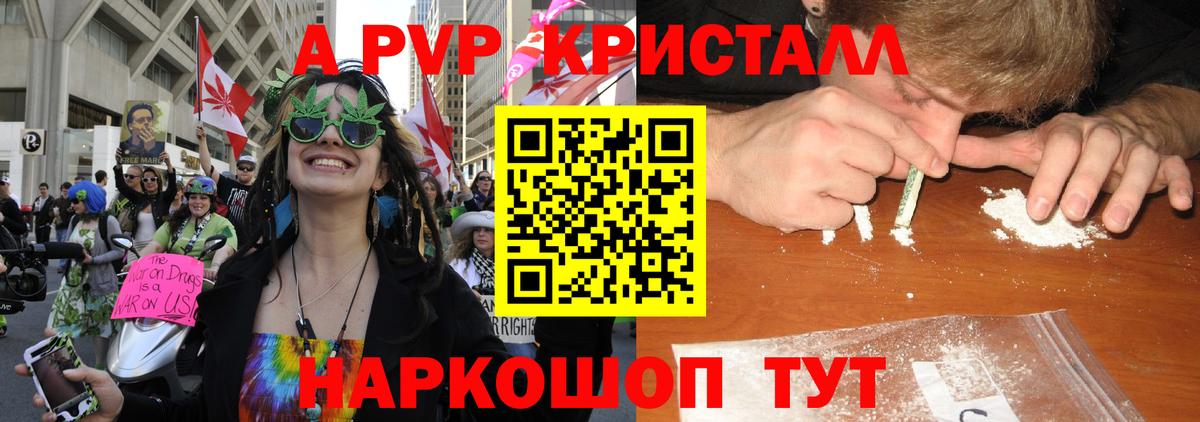 Alfa_PVP СК КРИС Пугачёв