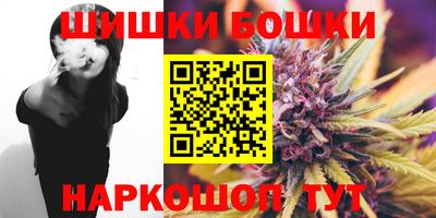 индика Гагарин