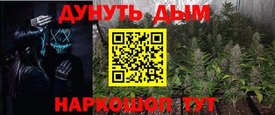 индика Гагарин