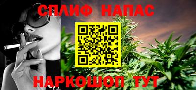индика Гагарин