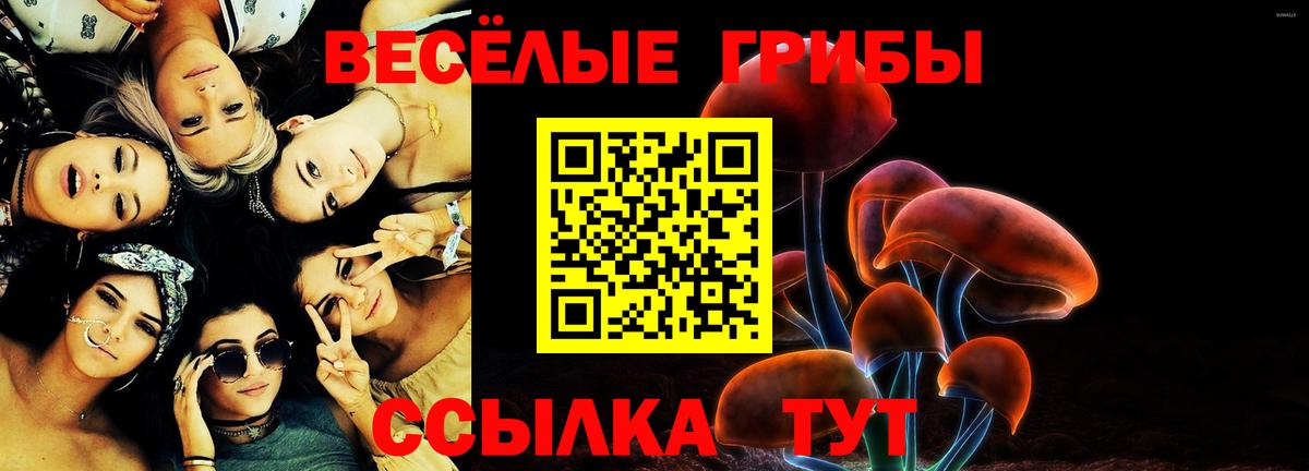 Псилоцибиновые грибы MAGIC MUSHROOMS  Галлюциногенные грибы MAGIC MUSHROOMS  Пугачёв  Вход с VPN 