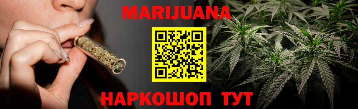 Конопля сатива Пугачёв